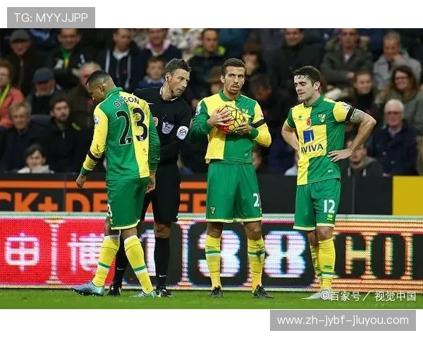 英超球队诺维奇市值分析 英超球队诺维奇市值分析